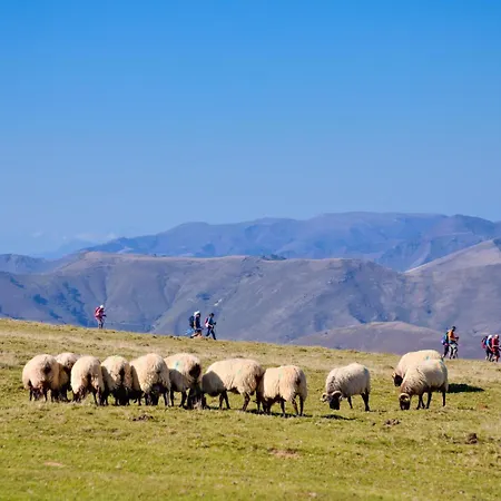 Vvf Résidence Pays Basque Saint-Jean-Pied-de-Port
