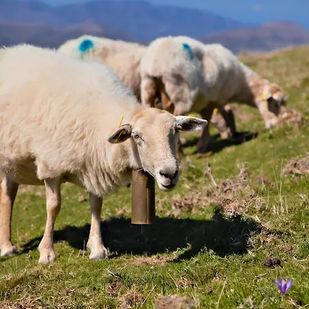 Vvf Pays Basque * 생장피드포르