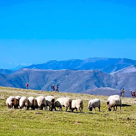 Prázdninový areál Vvf Pays Basque Saint-Jean-Pied-de-Port