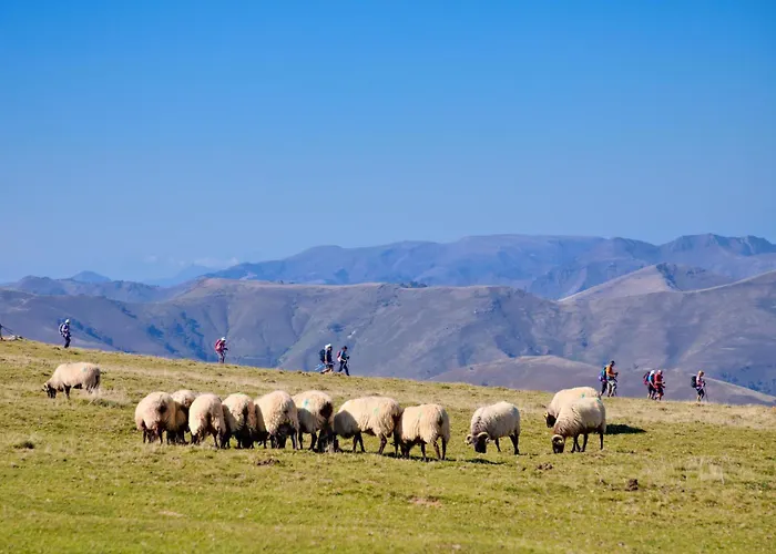 Vvf Résidence Pays Basque Saint-Jean-Pied-de-Port